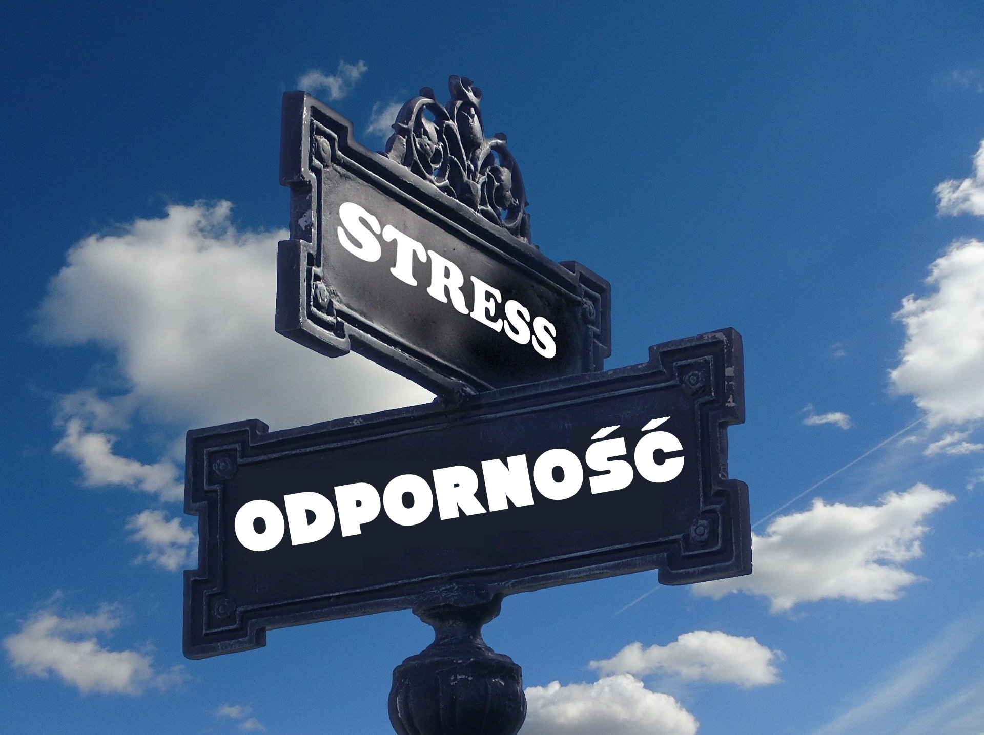 Stres a odporność organizmu